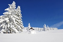 Powdern in der SkiWelt Wilder Kaiser - Brixental